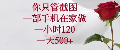 你只管截图，一部手机在家做，苹果安卓都可以，一小时120，一天5张+【揭秘】-奇奇网创