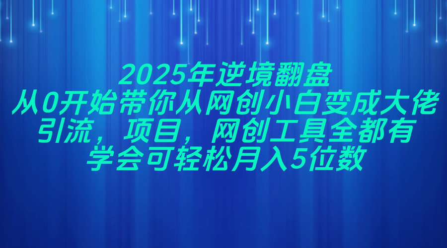 2025年逆境翻盘，从0开始带你从网创小白变成大佬，引流，项目，网创工…-奇奇网创