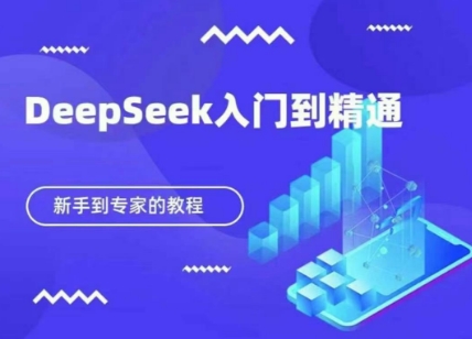 DeepSeek快速从入门到精通，新手的保姆级教程-奇奇网创