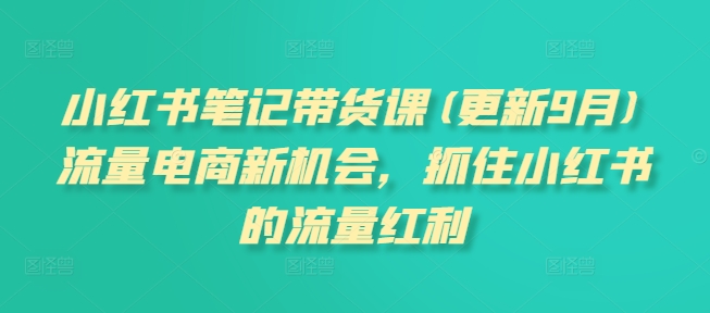 小红书笔记带货课(更新25年2月)流量电商新机会，抓住小红书的流量红利-奇奇网创