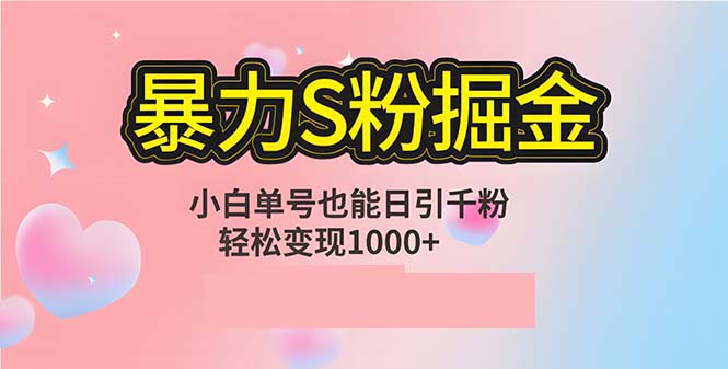 单人单机日引千粉，变现1000+，S粉流量掘金计划攻略-奇奇网创