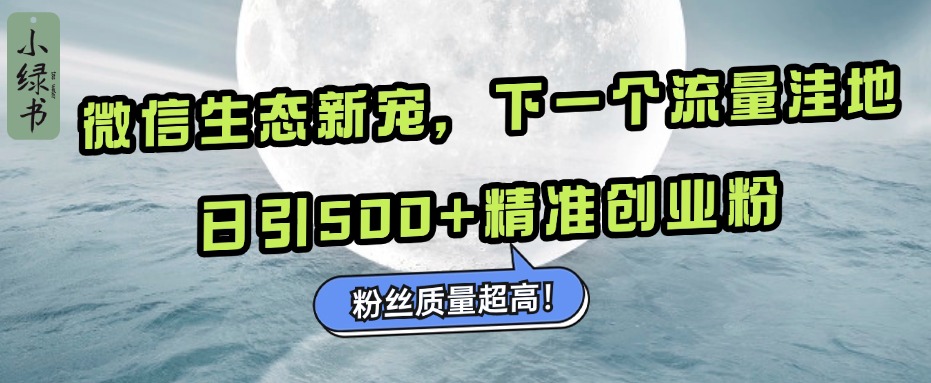 微信生态新宠小绿书:下一个流量洼地,粉丝质量超高,日引500+精准创业粉,-奇奇网创