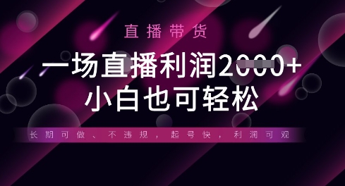 半无人直播带货，一场利润数张，适合所有平台玩法，小白也可轻松-奇奇网创