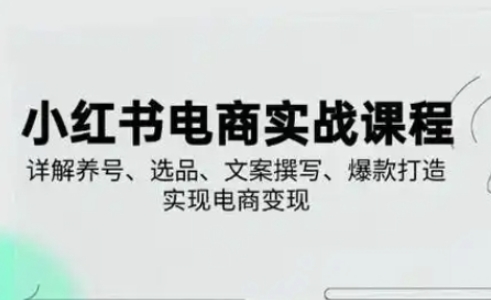 小红书从0-1实操课(2023-2025)，详解养号、选品、文案撰写、爆款打造实现电商变现-奇奇网创