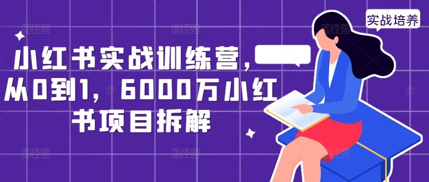小红书实战训练营，从0到1，6000万小红书项目拆解-奇奇网创
