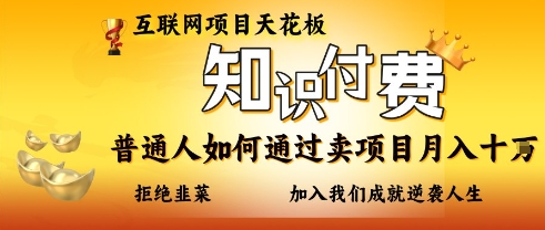 互联网项目天花板，知付付费项目，普通人如何通过卖项目月入十个，拒绝韭菜【揭秘】-奇奇网创