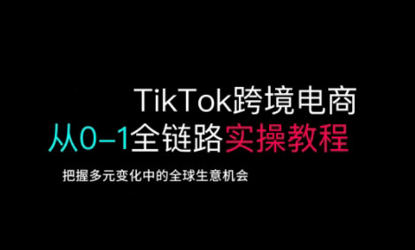 TikTok跨境电商从0-1全链路全方位实操教程，把握多元变化中的全球生意机会-奇奇网创
