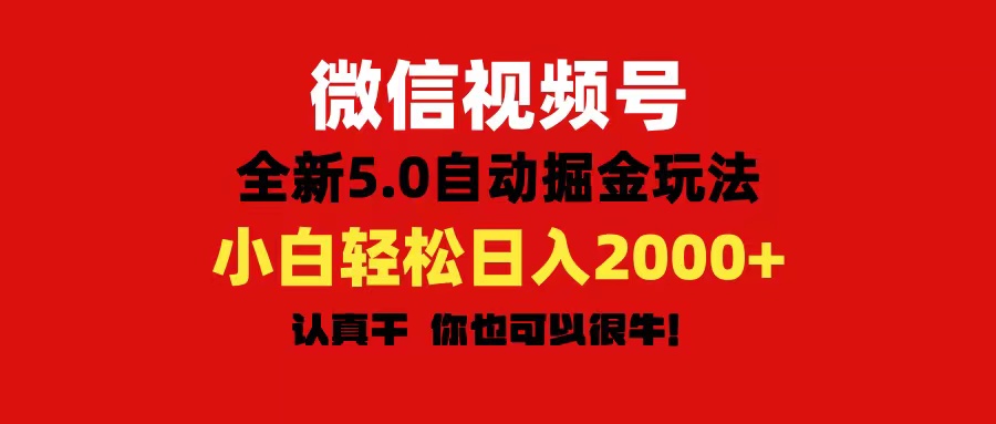 微信视频号变现，5.0全新自动掘金玩法，日入利润2000+有手就行-奇奇网创