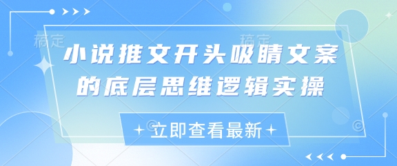 小说推文开头吸睛文案的底层思维逻辑实操-奇奇网创