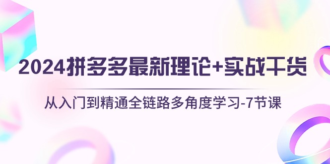 （10816期）2024拼多多 最新理论+实战干货，从入门到精通全链路多角度学习-7节课-奇奇网创