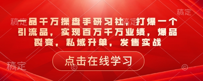 一品千万操盘手研习社，打爆一个引流品，实现百万千万业绩，爆品裂变，私域升单，发售实战-奇奇网创