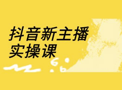 抖音新主播实操课，直播间流量运营线上实操课(18节)-奇奇网创