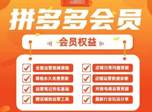 2025拼多多运营实战课，40节全流程教学，覆盖拼多多运营全链路-奇奇网创