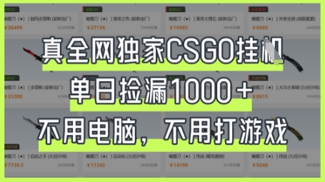 真全网独家CSGO挂G，单日捡漏1k+【揭秘】-奇奇网创