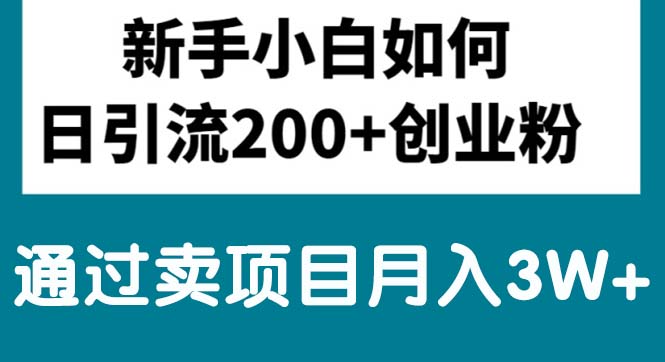 新手小白日引流200+创业粉,通过卖项目月入3W+-奇奇网创
