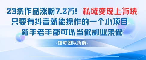 抖音私域项目23条作品涨粉7.2W，私域变现1W-奇奇网创