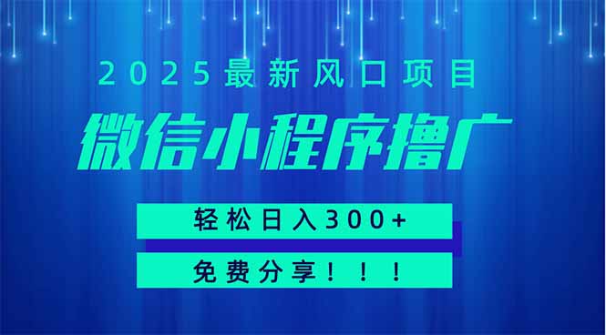 微信小程序撸广，最新风口项目，日入300+ 免费分享 可批量操作 小白可…-奇奇网创