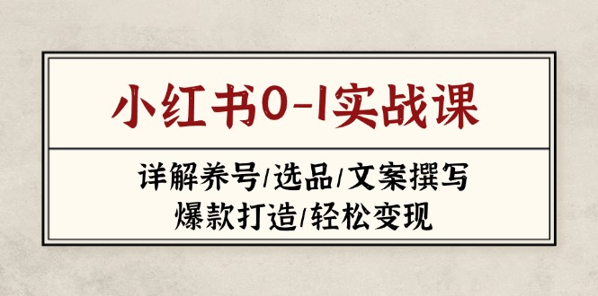 小红书0-1实战课(2023-2025-奇奇网创