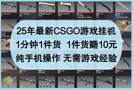25年最新CSGO游戏挂G，1分钟1件货，1件货挣10元，纯手机操作，无需游戏经验【揭秘】-奇奇网创