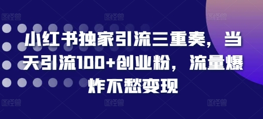 小红书独家引流三重奏,当天引流100+创业粉,流量爆炸不愁变现【揭秘】-奇奇网创