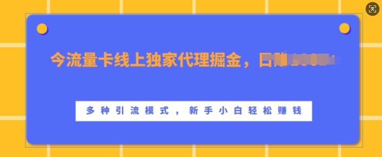 流量卡线上独家代理掘金，日入1k+ ，多种引流模式，新手小白轻松上手【揭秘】-奇奇网创