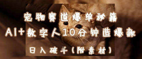 宠物赛道爆单秘籍：AI+数字人10分钟造爆款，日入1k-奇奇网创