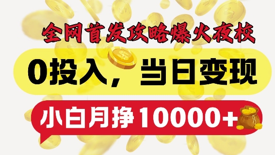 全网首发爆火夜校，0投入，当日变现，小白轻松月入1w+【揭秘】-奇奇网创