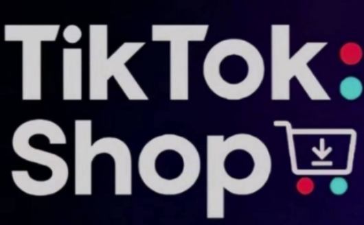 TikTokShop跨境电商0-1实战，手把手教你低成本启动海外市场-奇奇网创