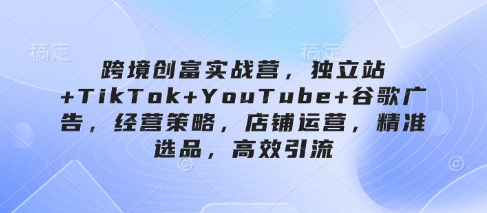跨境创富实战营,独立站+TikTok+YouTube+谷歌广告,经营策略,店铺运营,精准选品,高效引流-奇奇网创