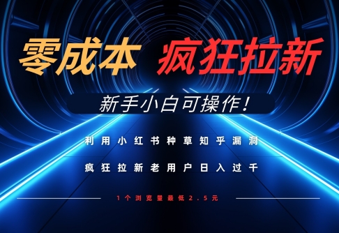 利用小红书种草知乎漏洞，零成本疯狂拉新日入数张，新手小白可操作-奇奇网创