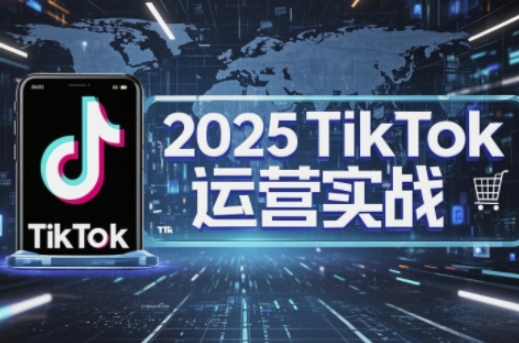 2025TikTok电商运营，掌握TikTok店铺运营核心技巧，实现低成本高转化-奇奇网创