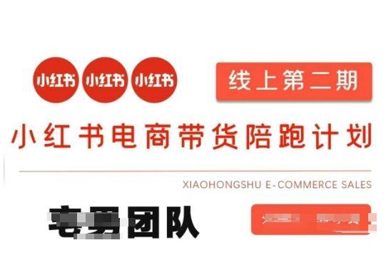 小红书电商带货课2期，月利润20个的小红书电商的有货源，无货源，虚拟产品，付费投流等整套玩法-奇奇网创