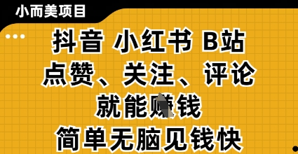 小而美的项目，抖音小红书B站视频点赞、关注、评论就能挣钱，简单无脑立见收益，妥妥的零撸项目【揭秘】-奇奇网创