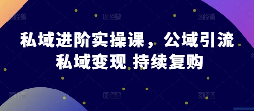 私域进阶实操课，公域引流 私域变现 持续复购-奇奇网创