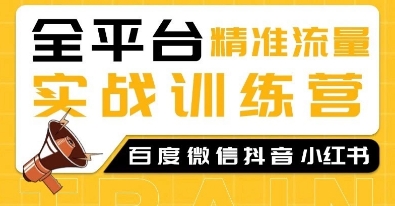 全平台精准流量实战训练营，百度微信抖音小红书SEO引流教程-奇奇网创