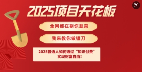 2025项目天花板普通人如何通过知识付费,实现财F自由【揭秘】-奇奇网创