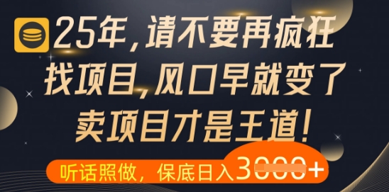 什么？25年你还在疯狂找项目做，醒醒吧，看完这些你全都懂了【揭秘】-奇奇网创