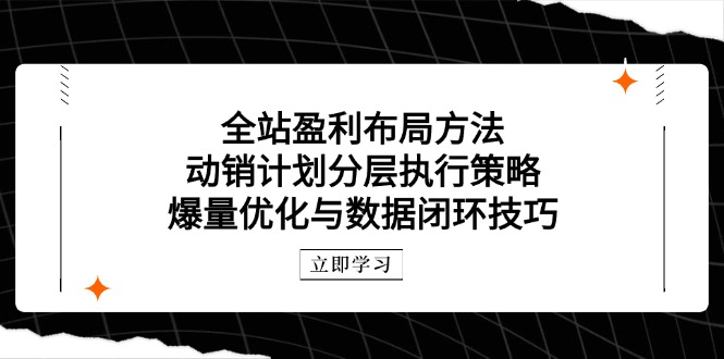 全站盈利布局方法：动销计划分层执行策略，爆量优化与数据闭环技巧-奇奇网创