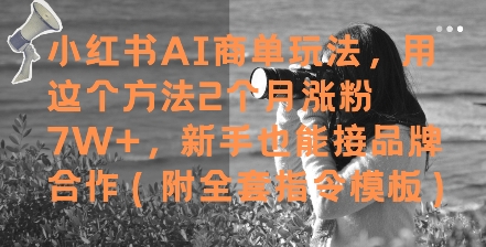 小红书AI商单玩法，用这个方法2个月涨粉7W+，新手也能接品牌合作(附全套指令模板)-奇奇网创