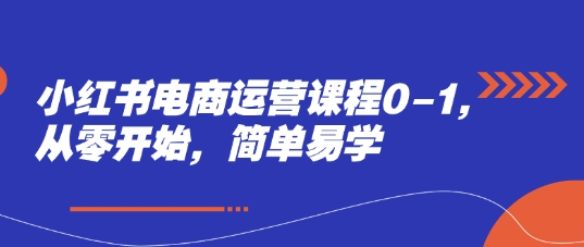 小红书电商运营课程0-1，从零开始，简单易学-奇奇网创