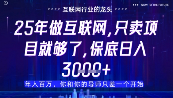 什么！25年你还在找项目做？风口早就变了，卖项目才是稳挣不赔【揭秘】-奇奇网创