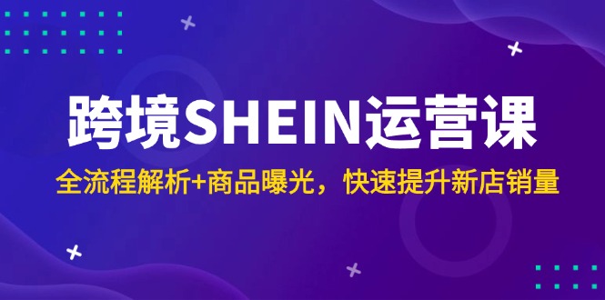 跨境SHEIN运营课，全流程解析+商品曝光，快速提升新店销量-奇奇网创