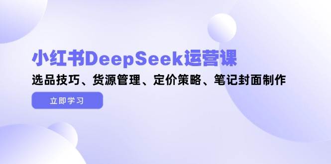 小红书DeepSeek运营课，选品技巧、货源管理、定价策略、笔记封面制作-奇奇网创