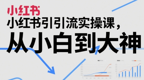 小红书引流实操课，从小白到大神-奇奇网创