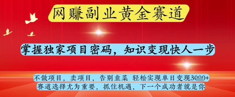 网创副业黄全赛道，掌握独家项目密码，知识变现快人一步，告别韭菜轻松实现单日变现1k+【揭秘】-奇奇网创