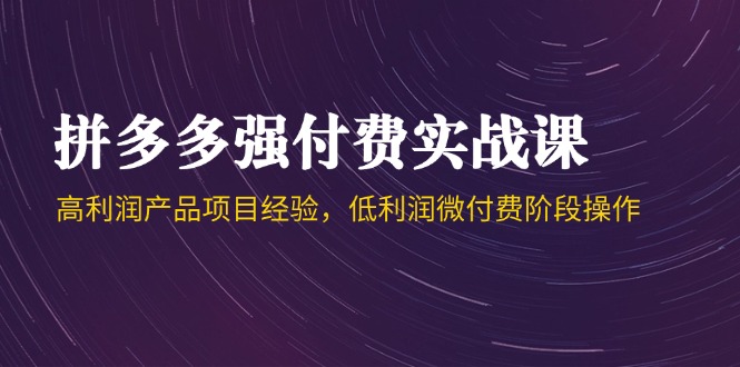 拼多多强付费实战课-44期，高利润产品项目经验，低利润微付费阶段操作-奇奇网创