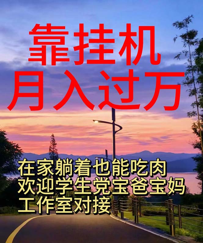 靠挂机，日入1000+，躺着也能吃肉，适合宝爸宝妈学生党工作室，电脑手…-奇奇网创