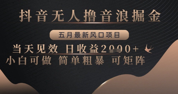 抖音无人撸音浪掘金，五月最新风口项目，当天见效，日收益多张，小白可做简单粗暴可矩阵【揭秘】-奇奇网创