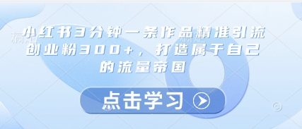 小红书3分钟一条作品精准引流创业粉300+，打造属于自己的流量帝国-奇奇网创