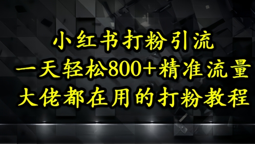 小红书打粉引流，一天轻松500+精准流量，大佬都在用的打粉教程-奇奇网创